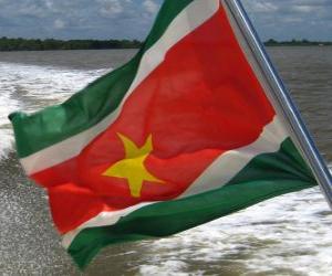 пазл Флаг Суринама